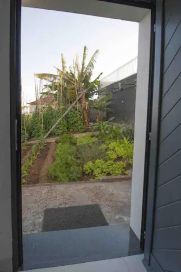 Crystal House Calheta (Madeira) Exterior foto
